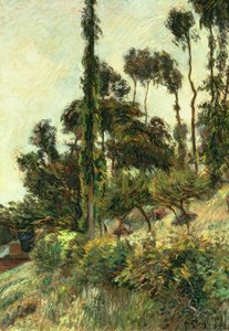 Le côté de la colline, 1884 - Paul Gauguin