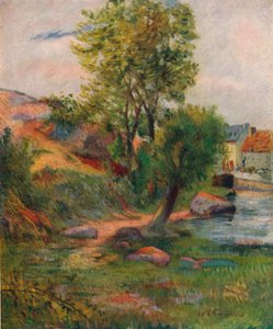 Saule près de l