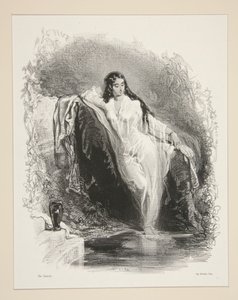 Amour pour Amour - Paul Gavarni
