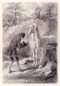 Le cheval s