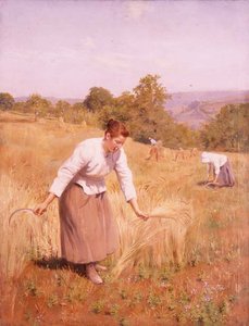 Les glaneuses - Paul Gregoire