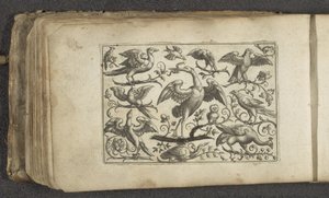 Grue et douze autres oiseaux