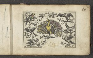 Paon et autres oiseaux Vogels (titre de la série)
