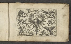 Rapace et onze autres oiseaux