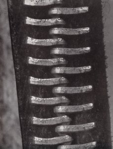 Fermeture éclair