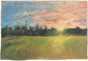 Un pré au coucher du soleil