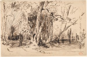 Inondation dans la forêt de l
