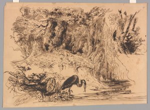 Piscine forestière avec héron