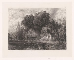 Vue d