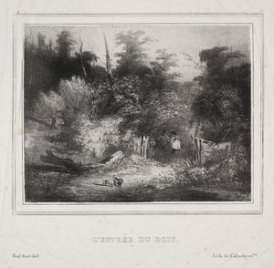 Paysages : L