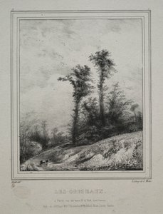 Paysages : Jeunes ormes