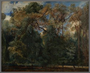 Les ormes de Saint-Cloud - Paul Huet