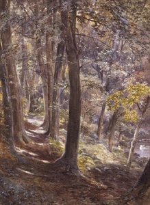 Une clairière boisée - Paul Jacob Naftel