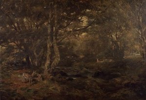 À travers le bois, Pont-y-Gytyn, nord du Pays de Galles