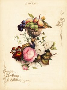 Bouquet de roses avec raisins et pêches dans un vase