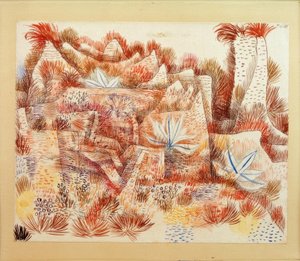 Paysage avec agaves