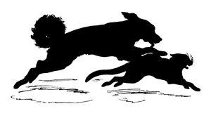 Silhouette