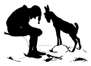 Silhouette