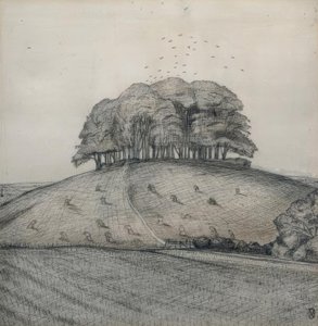 Le bois sur la colline