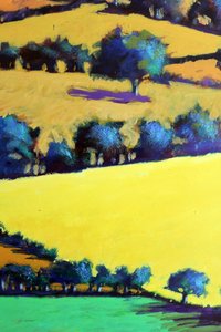 Gros plan sur le chêne à feuilles blanches 3 - Paul Powis