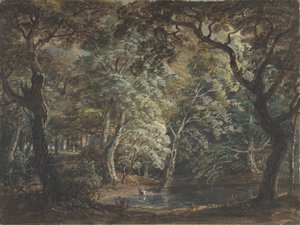 Windsor Great Park, 1790-99 - Paul Sandby