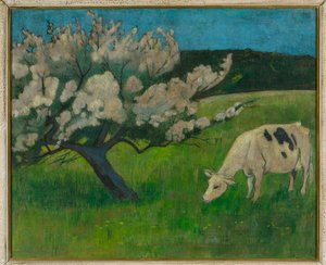 Vache blanche