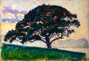 Grand pin, Saint-Tropez, 1892-1893
