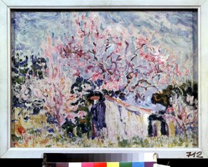 Le printemps en Provence