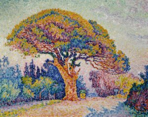 Signac, Pin parasol de Bertaud
