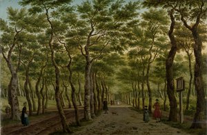 Le Herepad dans le Haagse Bos
