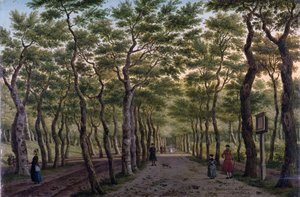 Le Herepad dans le Haagse Bos
