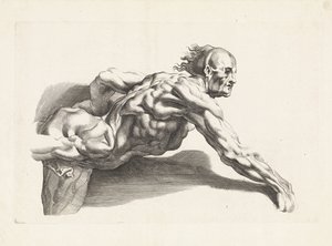 Étude anatomique d