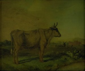 Une vache