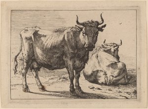 Une vache debout et une autre couchée