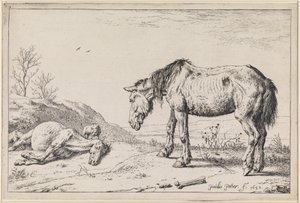  - Paulus Potter