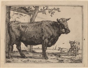 Taureau