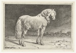 Le cheval frison (Paarden) - Paulus Potter