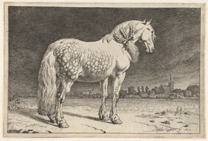Le cheval frison - Paulus Potter