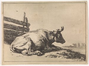 Vache couchée près d