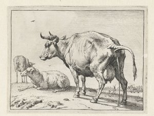Vache urinant
