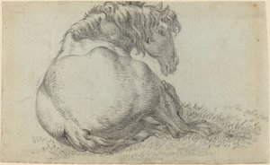 Cheval au repos - Paulus Potter
