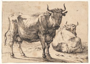 Vache debout et couchée