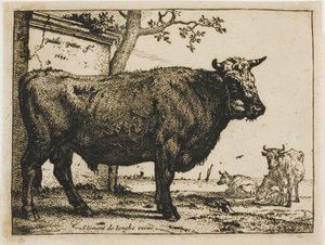 Le Taureau