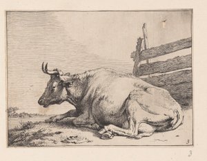 La vache couchée près d