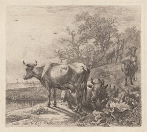 Le vacher - Paulus Potter