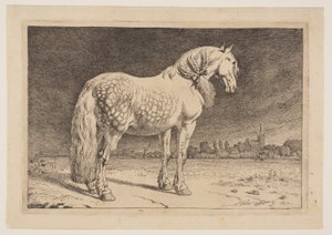 Le cheval frison, extrait de la série des chevaux