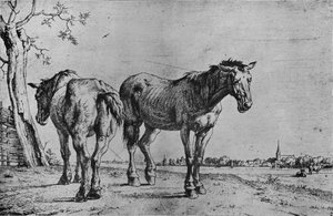 Les deux chevaux de labour, 1652