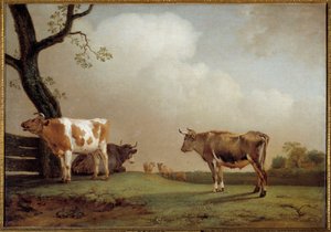 Le pré Un troupeau de vaches dans un pré