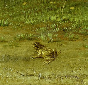 Crapaud (détail) - Paulus Potter