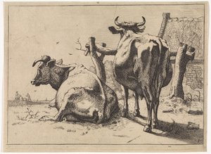 Deux vaches vues de dos - Paulus Potter